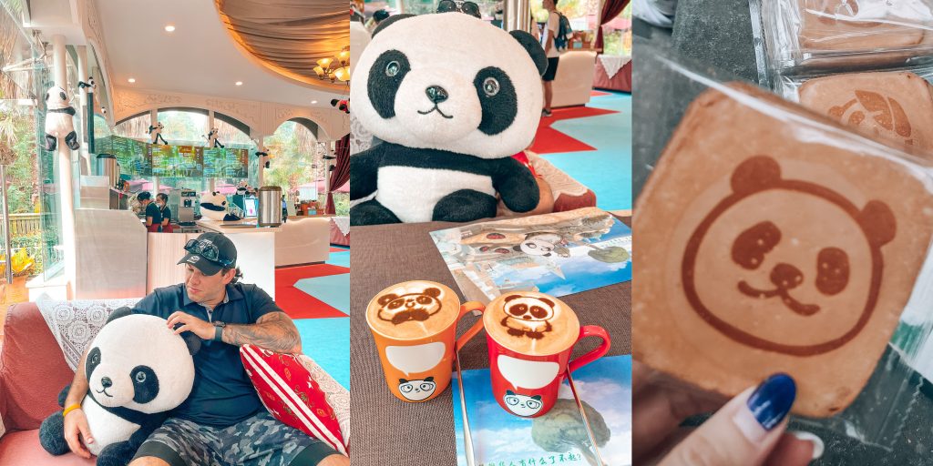 Panda Cafe including Panda Coffees
